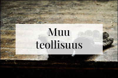 am uusi muu teollisuus