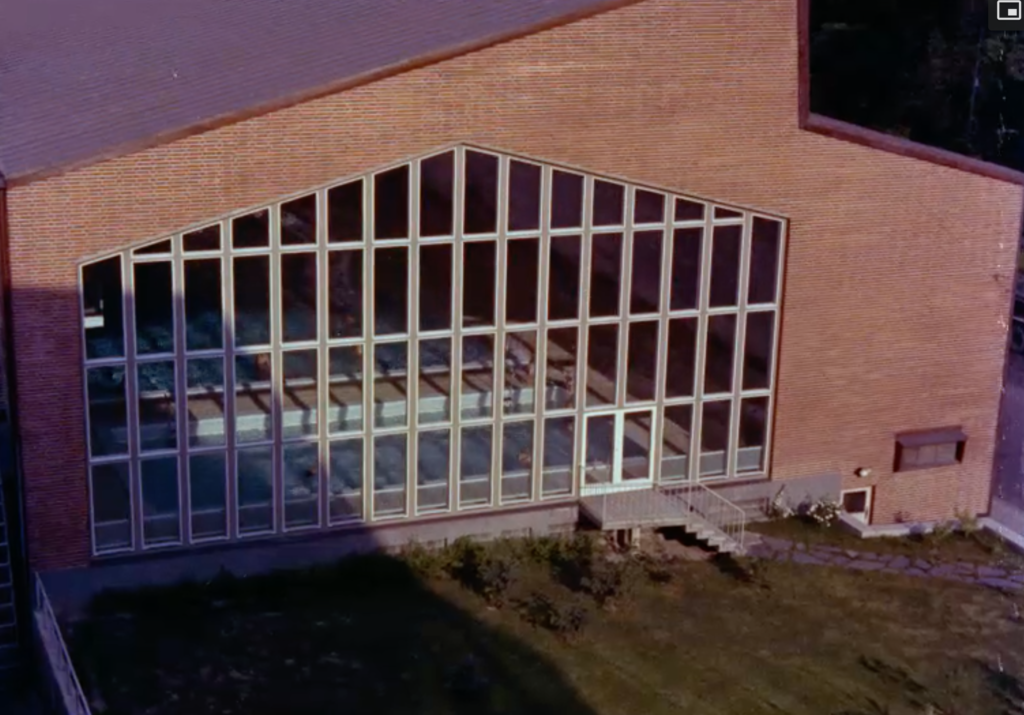 uimahalli1 1
