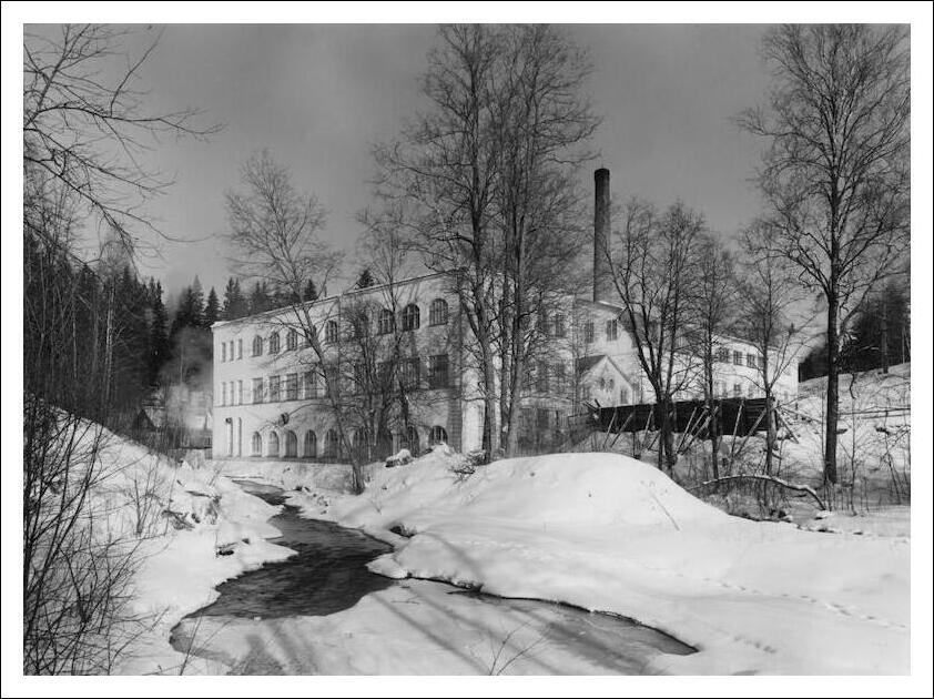kaukas 2
